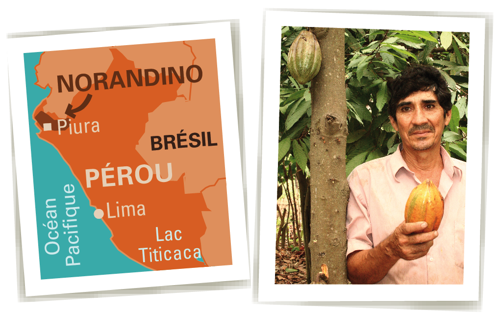 cacao bio equitable ethiquable norandino cacao bio equitable ethiquable norandino