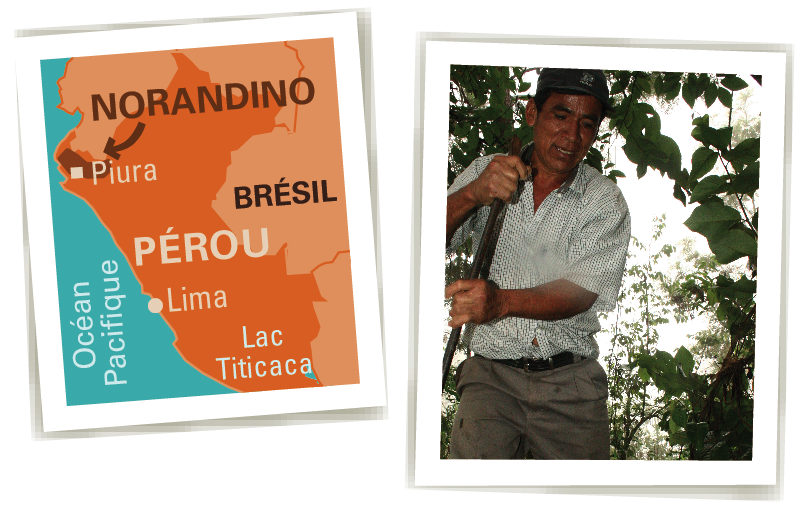 norandino cacao bio équitable pérou Ethiquable norandino cacao bio équitable pérou Ethiquable