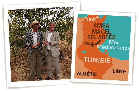 smsa tunisie smsa tunisie