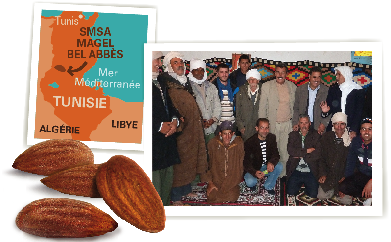 SMSA amande bio équitable ethiquable SMSA amande bio équitable ethiquable