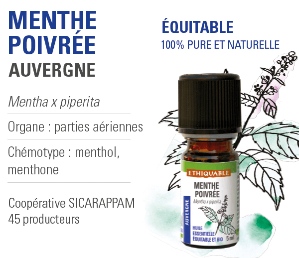 Huile Essentielle Bio 100% Pure et Naturelle - Menthe Poivrée