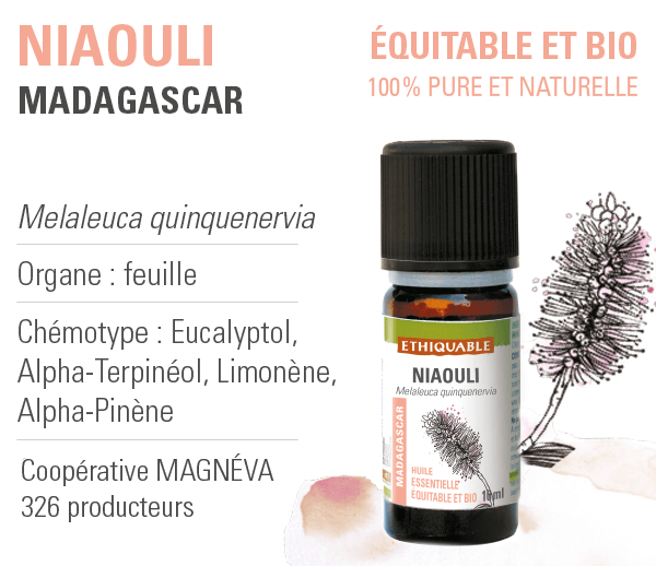 huile essentielle niaouli ethiquable bio equitable