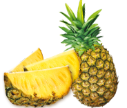 ananas madagascar équitable bio ethiquable