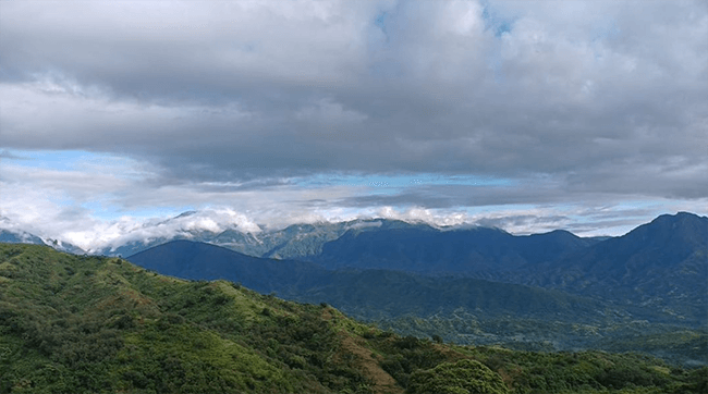 anei paysage
