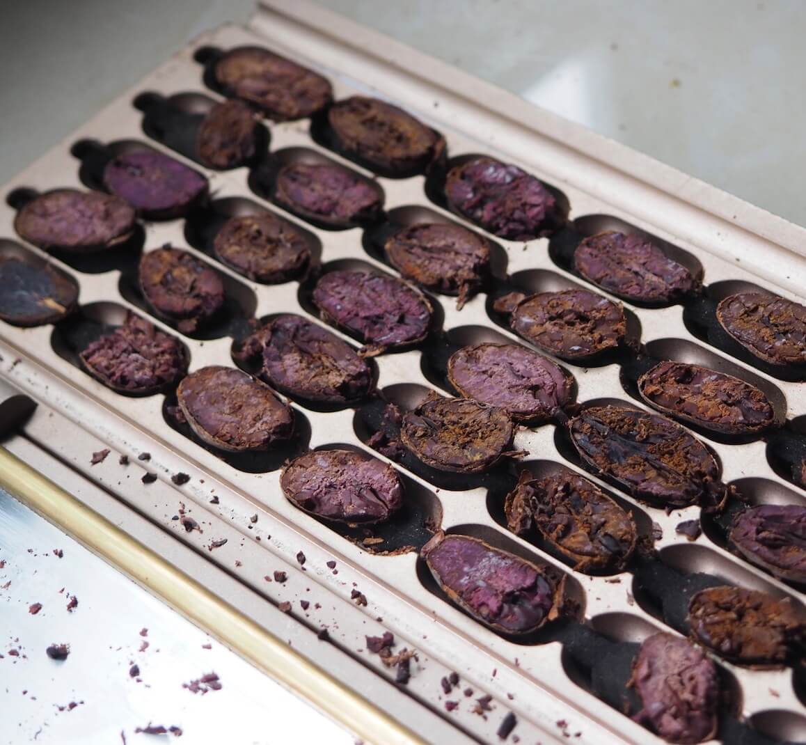 APEOSAE - Commerce équitable en Equateur - Cacao