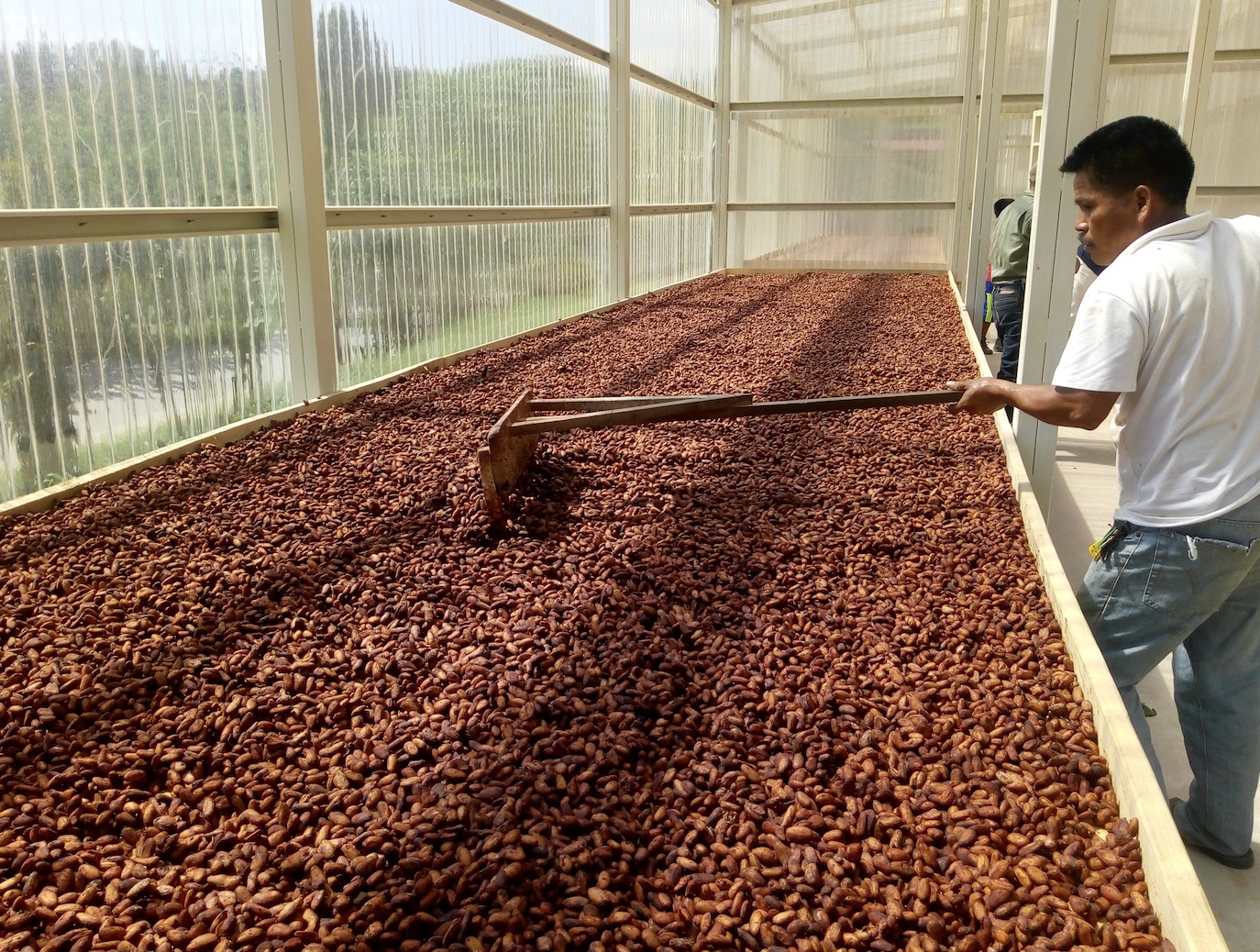 apodip-cacao-bio-equitable-78%