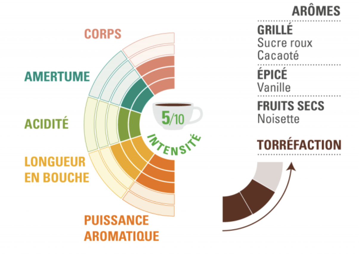 arabica soluble profil dégustation