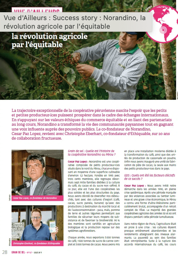 article grain de sel