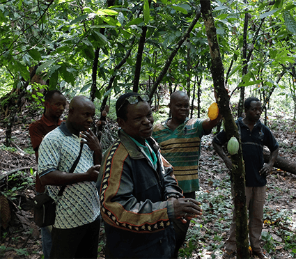 atsemawoe togo cacao ethiquable