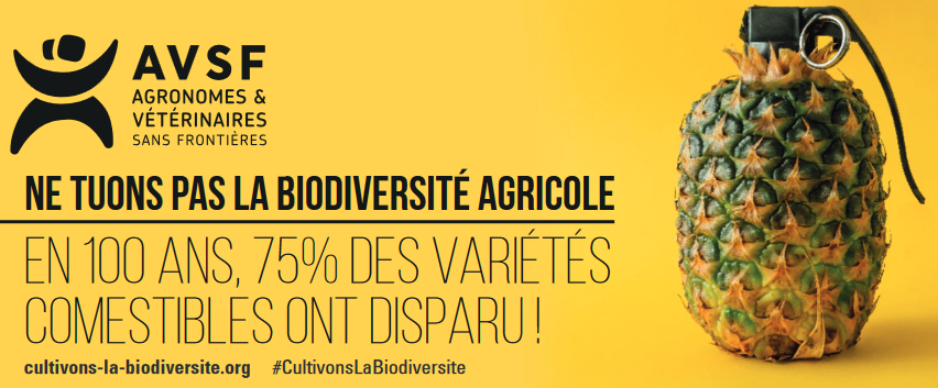 AVSF campagne biodiversité cultivée