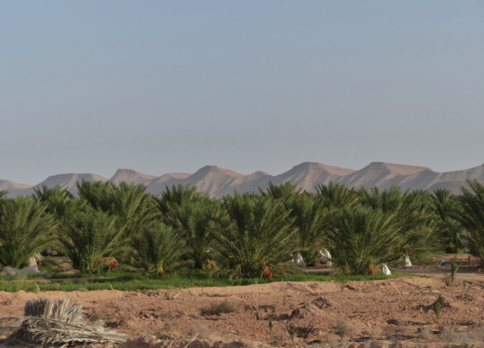 bijoux de l oasis de nouaiel