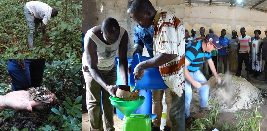 bio fertilisant SCEB cote d'ivoire