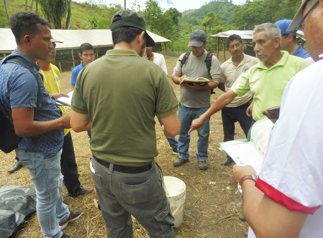 biofertilisant comsa honduras