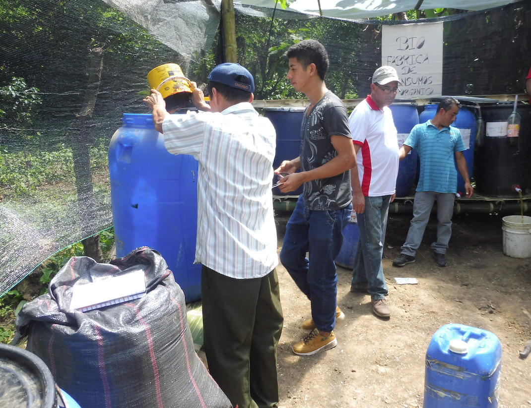 biofertilisant comsa honduras