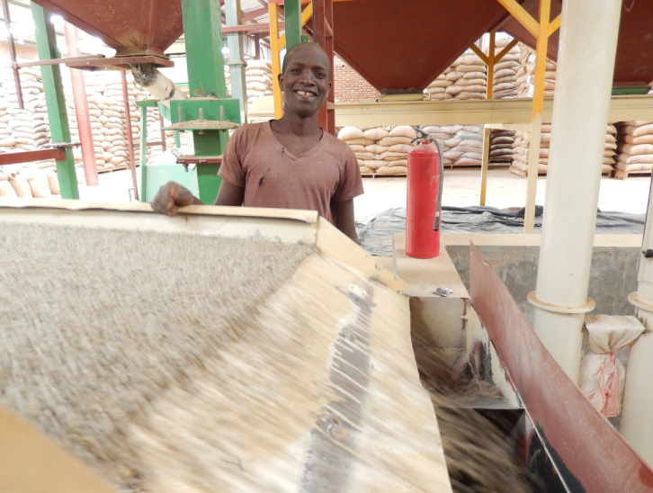 UMUCO W'IKAWA - Commerce équitable au Burundi