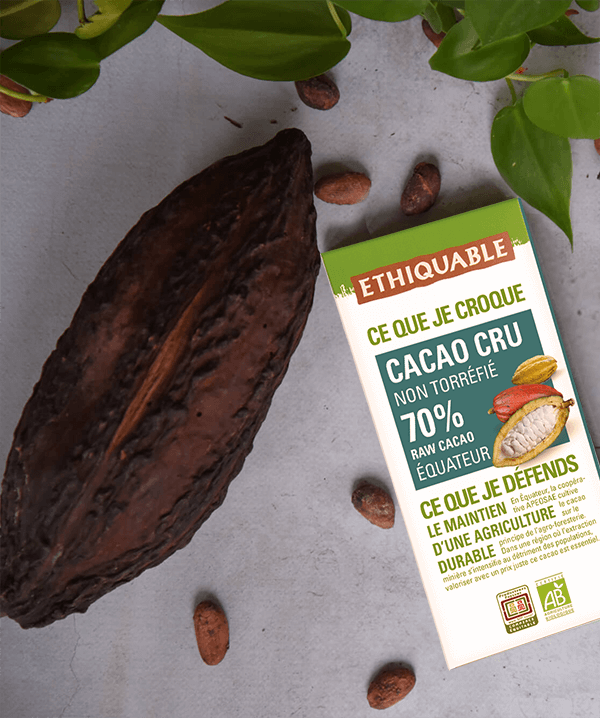 cacao cru 70% de cacao ethiquable