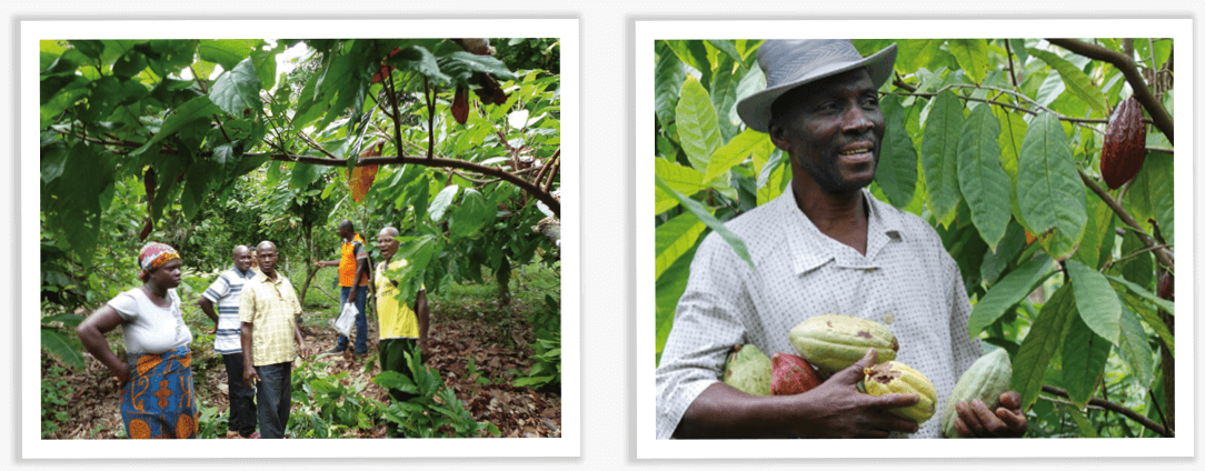 poudre de cacao instantanée bio équitable ethiquable