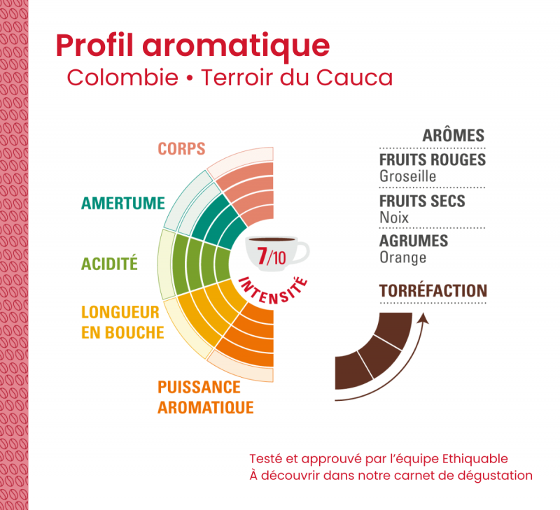 profil aromatique cafe colombie arabica equitable bio