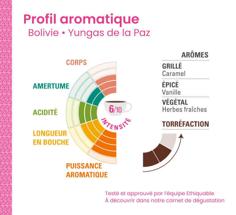profil aromatique cafe Bolivie moulu arabica equitable bio