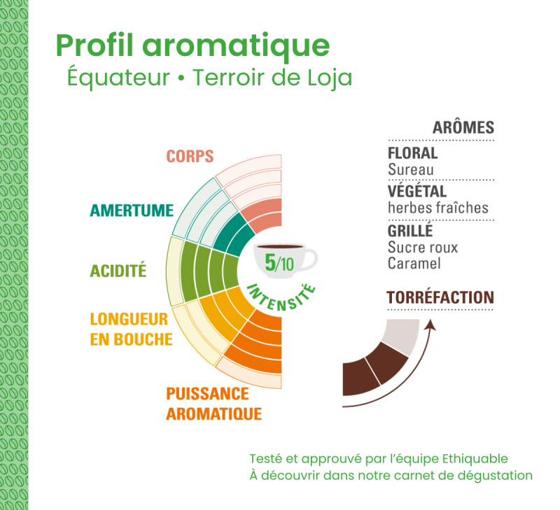 profil aromatique cafe équateur moulu arabica equitable bio