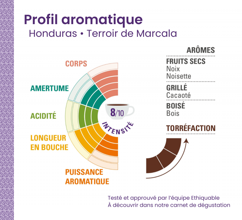 profil aromatique cafe honduras arabica equitable bio