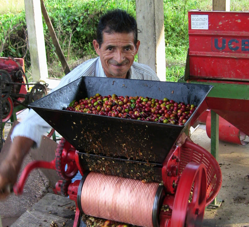 cafe-moulu-honduras-arabica-equitable-bio COMSA