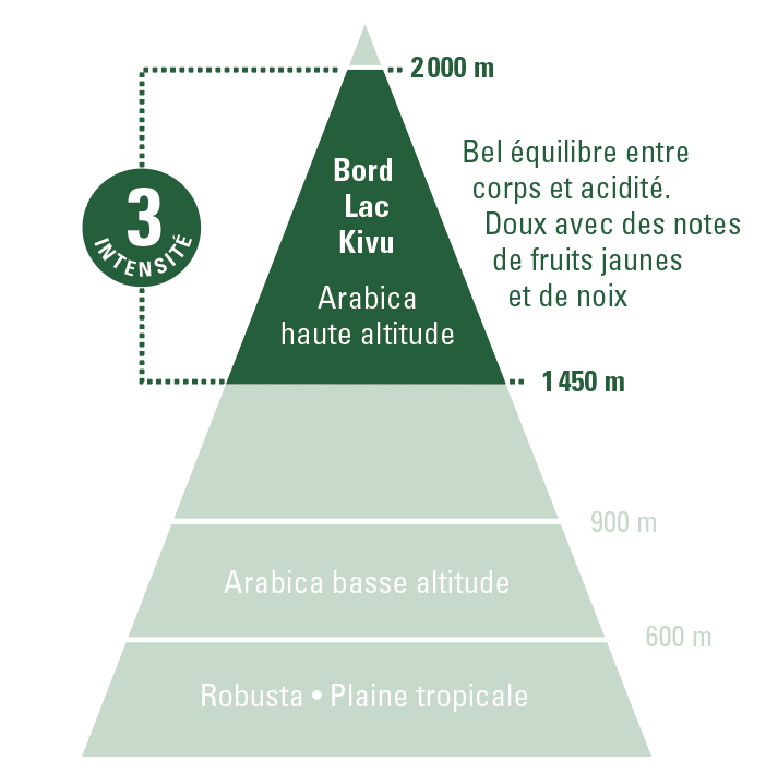 café arabica Congo Kivu ethiquable bio commerce équitable
