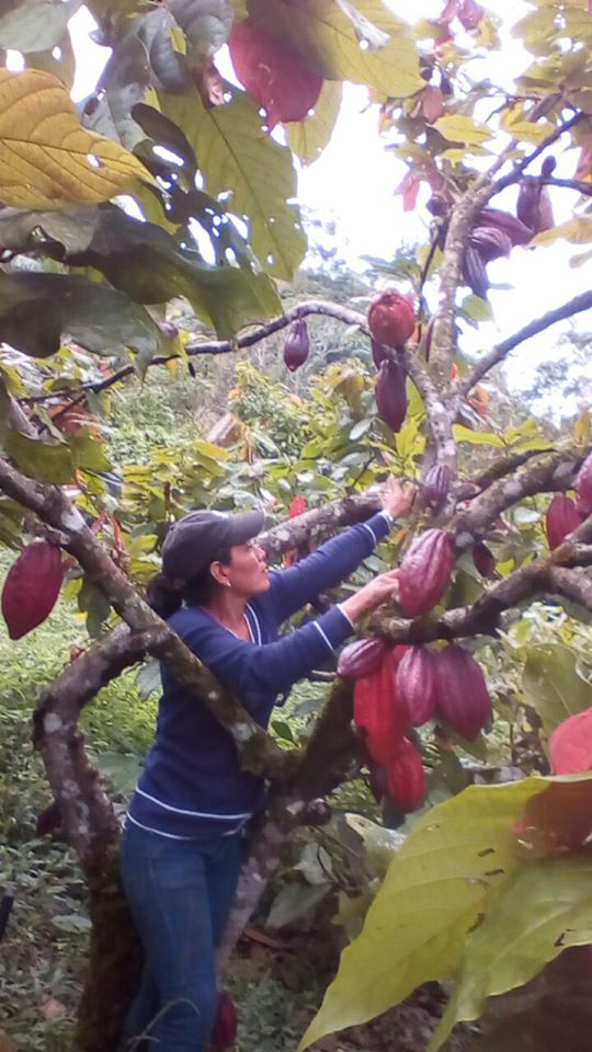 campesina nicaragua ethiquable