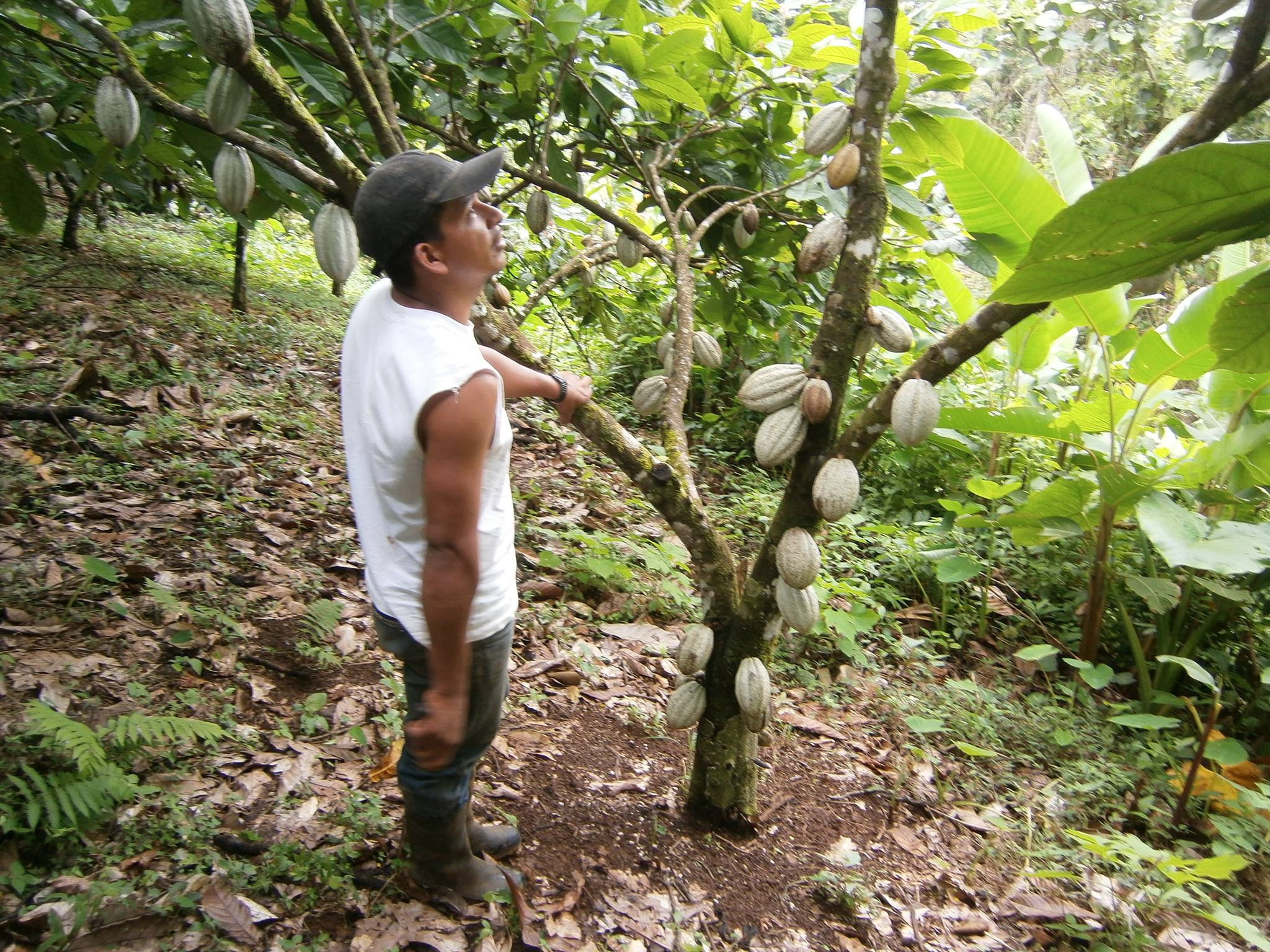 campesina nicaragua ethiquable