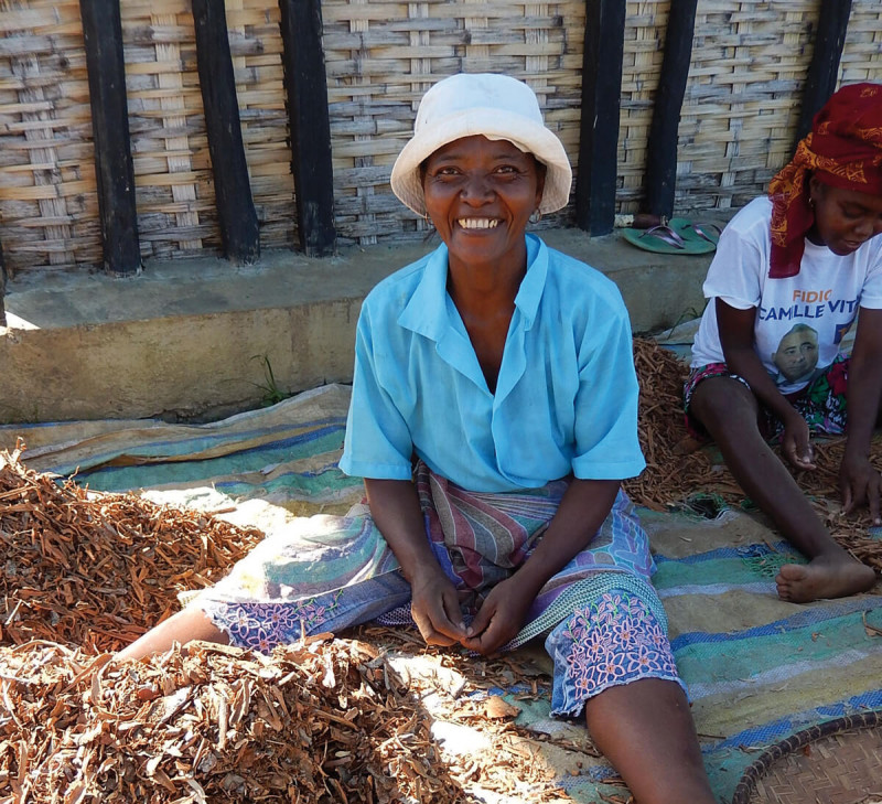 cannelle-batons-epice-madagascar-equitable-bio