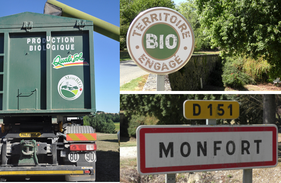 Farine de blé blanche T65 du Gers - Equitable et bio