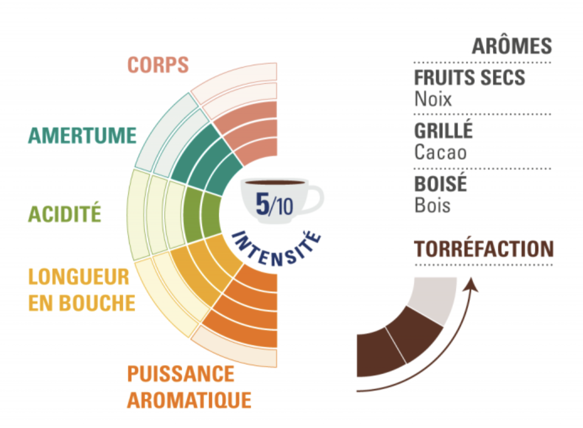 profil dégustation arabica décaféiné honduras