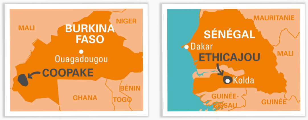 carte cajou coopérative burkina faso sénégal