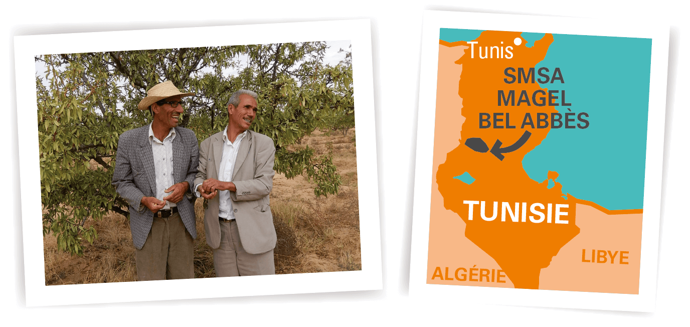 carte tunisie SMSA Magel Bel Abbès