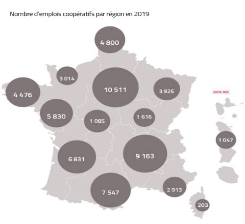 scop chiffre cles 2019