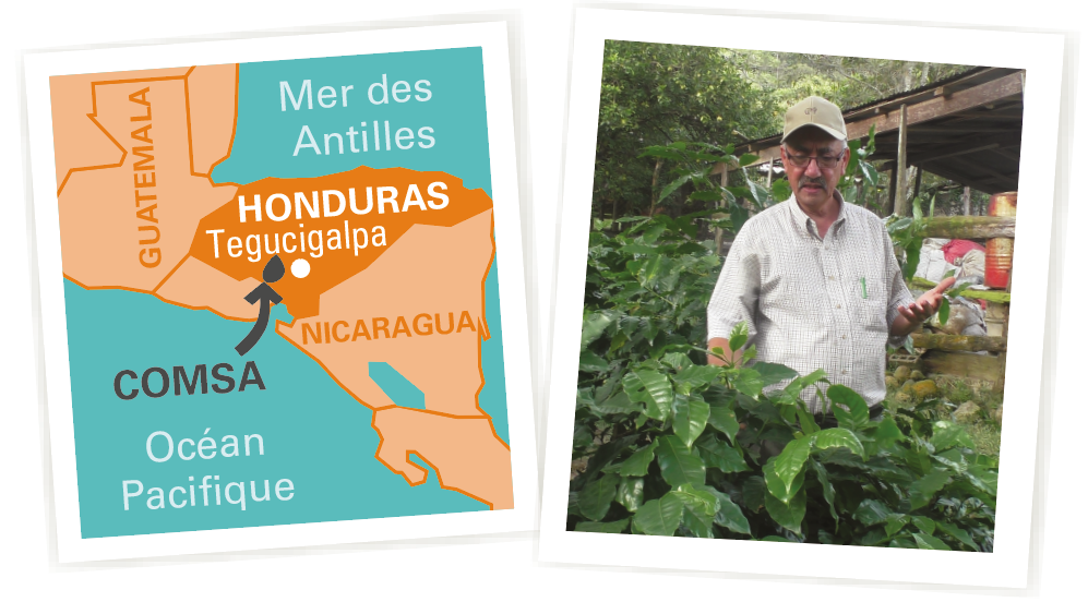 carte café Honduras equitable bio