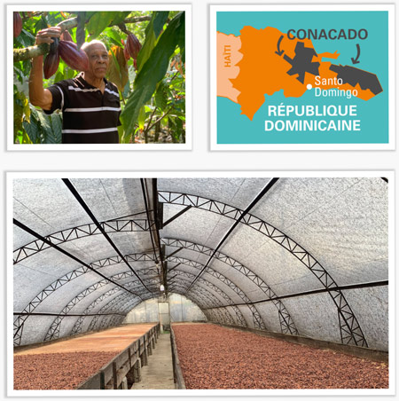 Coopérative conacado cacao