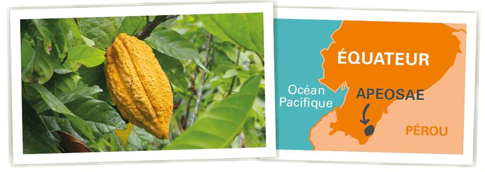 carte coopérative cacao equateuur