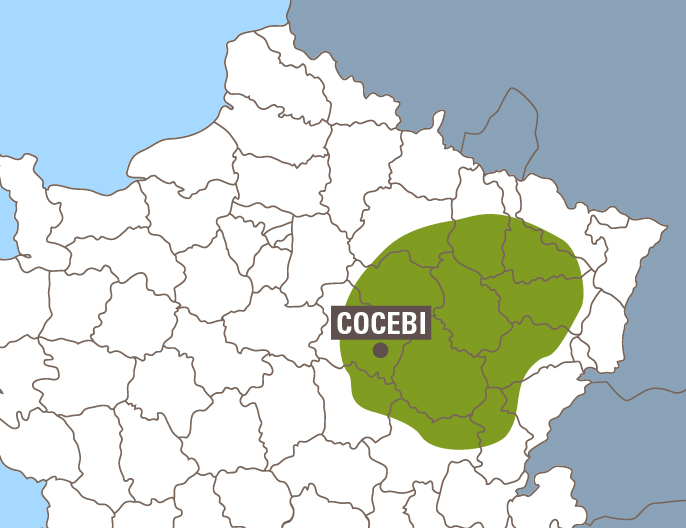 carte cocebi france