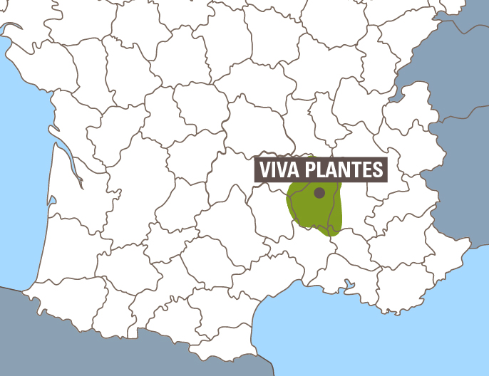 carte viva plantes coopérative