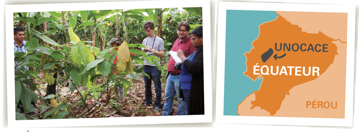carte coopérative cacao equateur