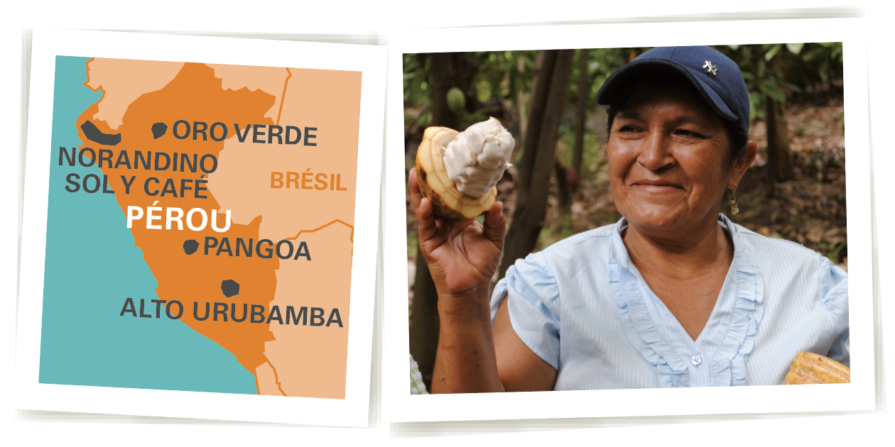 carte Pérou cacao 65%
