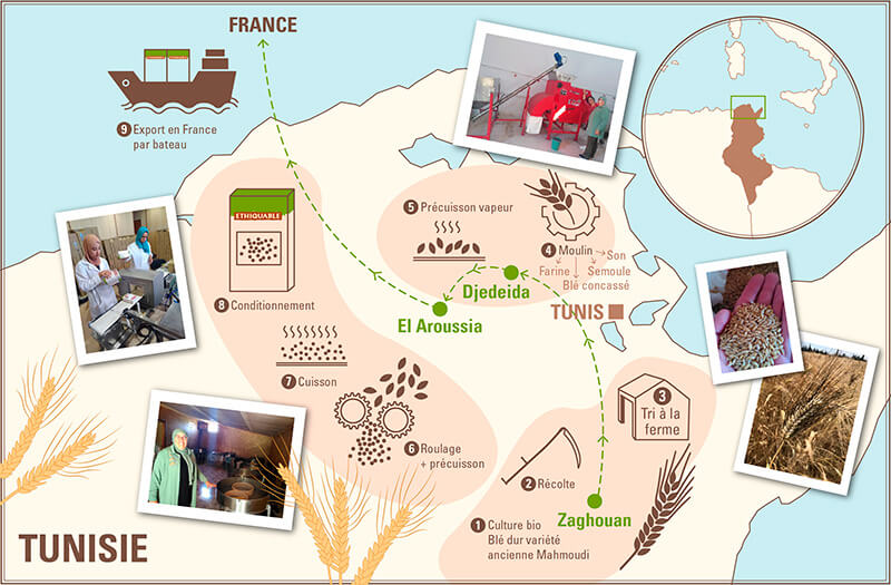 Transformation d'un blé ancien par un groupe de femmes en Tunisie