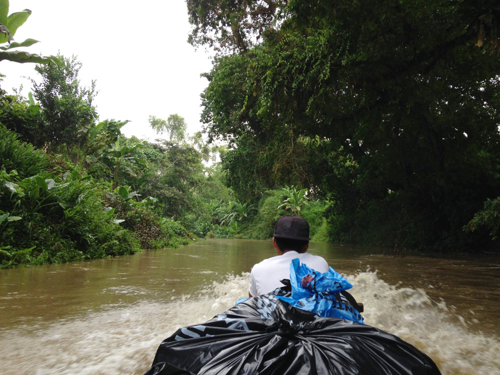 Transport du cacao à dos d'âne - coopérative cacao ASOROMCHAC - Equateur