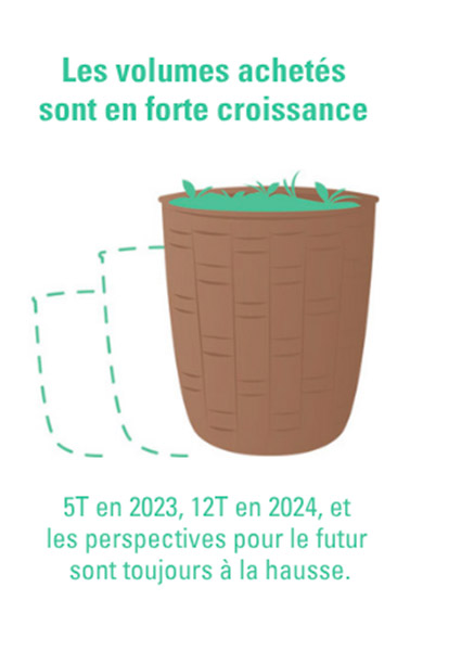Le rôle du commerce équitable dans la filière thé