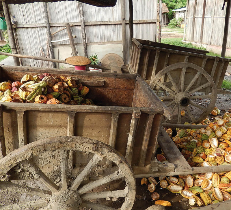 cacao-madagascar-equitable-bio