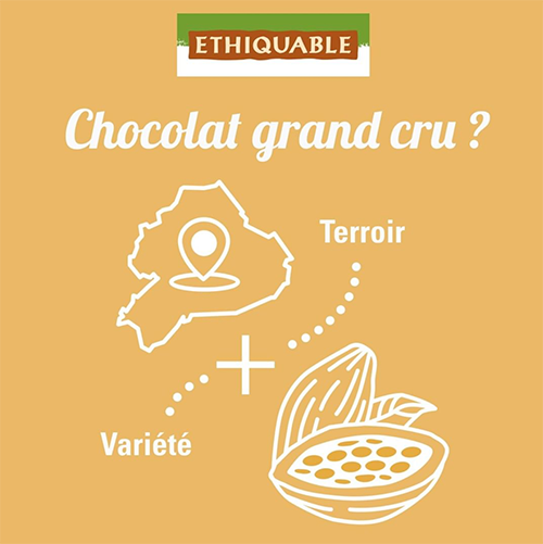 chocolat grand cru