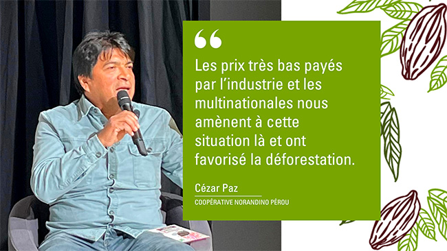 Cacao zéro déforestation importée