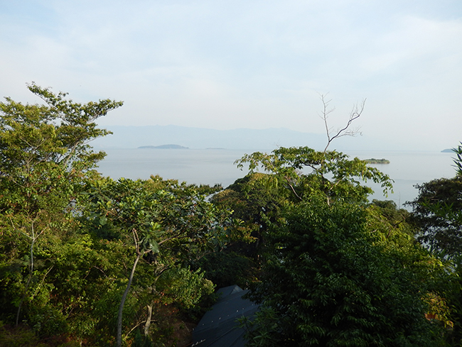 congo kivu café