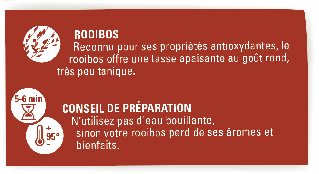 Conseil de preparation rooibos 